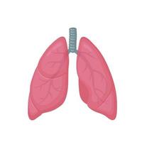 illustration colorée de vecteur de style plat de poumons humains. icône d'organe interne, logo. anatomie, concept de médecine. soins de santé. isolé sur fond blanc.