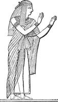 égyptien femme, ancien gravure. vecteur