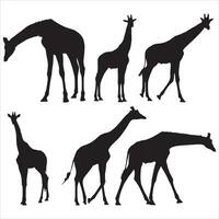 ensemble de silhouettes vectorielles de girafes vecteur