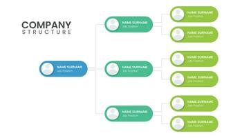 infographie conception modèle pour entreprise organisationnel structure vecteur