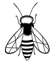 abeille insecte dans contour style vecteur