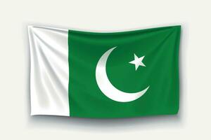 drapeau du pakistan vecteur