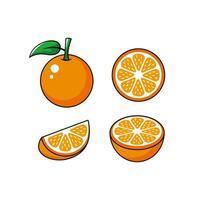 ensemble de Facile plat Orange fruit illustration conception, Frais Orange fruit élément avec décrit style modèle vecteur