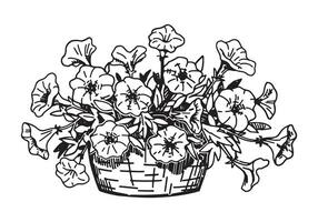 esquisser de pétunias dans une pot. printemps temps fleur clipart. main tiré vecteur illustration isolé sur blanc Contexte.