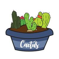 groupe de différent coloré cactus sur une pot vecteur illustration