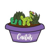 groupe de différent coloré cactus sur une pot vecteur illustration