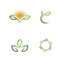 logos de l'écologie des feuilles d'arbre vert vecteur