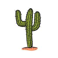cactus de dessin à la main dans le vecteur du désert.