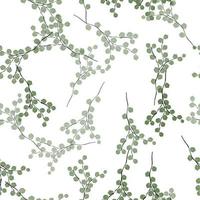feuilles naturelles de fond transparent. illustration vectorielle vecteur