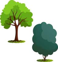 couple de vert des arbres vecteur illustration sur blanc Contexte