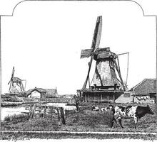 moulins, zaandam Hollande, ancien gravure. vecteur