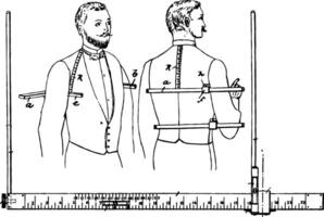 progressivement marqué tailleurs mesure, ancien illustration. vecteur