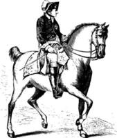 Frédérick ii de Prusse sur à cheval, ancien illustration vecteur