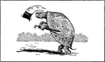 tortue avec Haut chapeau parapluie ancien illustration vecteur