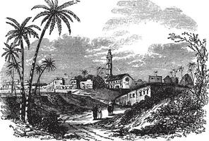 gaza ou gaza ville dans Palestine ancien gravure vecteur