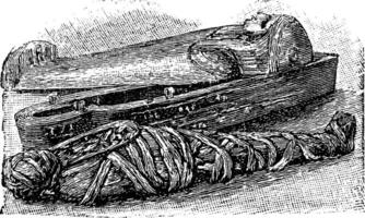 égyptien Momie et sarcophage Britanique musée, ancien gravure. vecteur