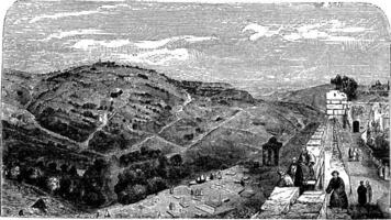 monter de Olives, vu de le vallée de Jérusalem, ancien gravure vecteur