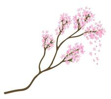 Sakura branche. vecteur isolé illustration