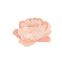 vecteur illustration de une Célibataire rose pivoine tête fleur. bourgeon pour une site Internet ou magasin de fleurs et végétaux, minable élégant style décoration de cartes et faire-part,