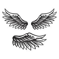 ailes vecteur illustration, main tiré style, noir blanc illustration