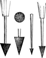 Oeuf exercices sont spécial outils utilisé pour en train de préparer et soufflant œufs, ancien illustration. vecteur