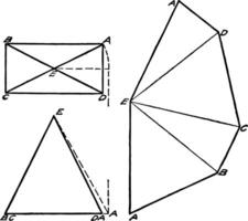 développement de rectangulaire pyramide ancien illustration. vecteur