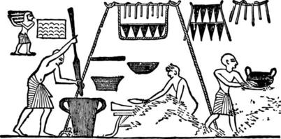 égyptien cuisine, ancien illustration. vecteur