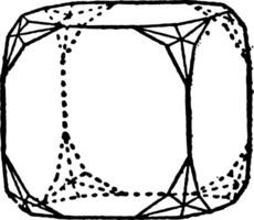 combinaison de icositétraèdre et cube ancien illustration. vecteur