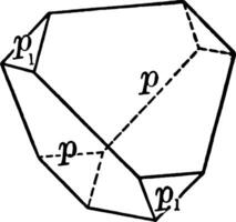 sphénoïde, positif et négatif ancien illustration. vecteur