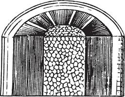 boisé tige ancien illustration. vecteur