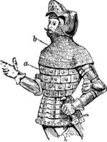 assiette armure, ancien illustration. vecteur