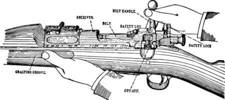 boulon et magazine, ancien illustration. vecteur