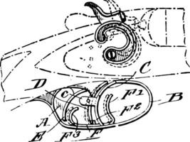 déclencheur mécanisme, ancien illustration. vecteur