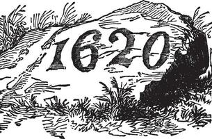 plymouth rock, illustration vintage vecteur