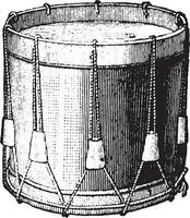 piège tambour cordes, ancien gravure. vecteur