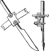 coutrière Howard, ancien gravure. vecteur