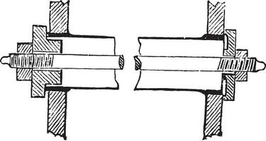 tube Berrendorf, ancien gravure. vecteur