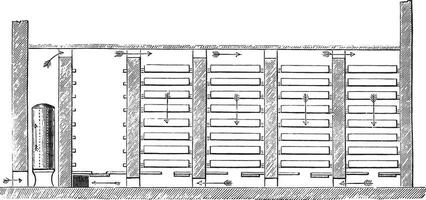 cigare séchoir, ancien gravure. vecteur