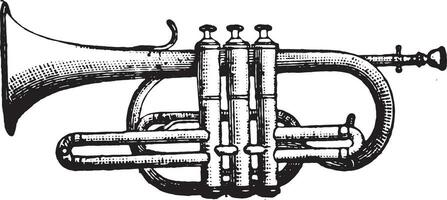 cornet piston, ancien gravure. vecteur