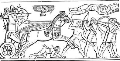 assyrien Roi dans bataille, ancien gravure. vecteur