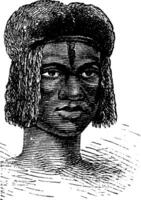 zambo femelle de Afrique, ancien gravure vecteur