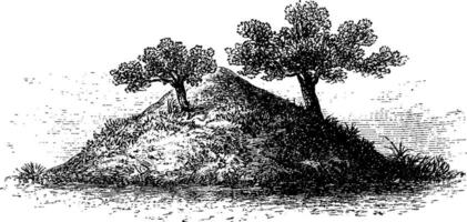termite monticule dans du sud Afrique, ancien gravure vecteur