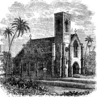 Saint lucia cathédrale, dans Colombe, sri lanka, ancien gravure vecteur