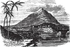 pico basilic dans bioco île, république de équatorial Guinée, ancien gravure vecteur