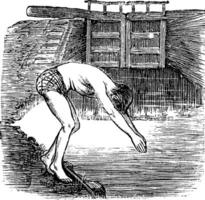position avant plongée, ancien gravé illustration vecteur