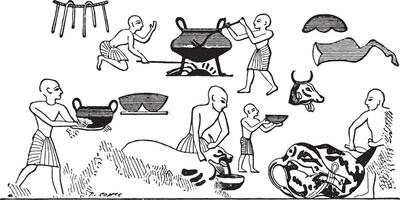 égyptien cuisiniers, ancien gravure. vecteur