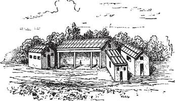 cour de ferme, ancien gravure. vecteur