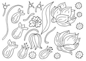 illustration florale dans le style de dessin à la main vecteur