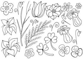 illustration florale dans le style de dessin à la main vecteur