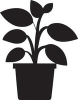 plante vecteur icône illustration noir Couleur 11